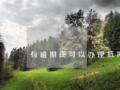 有逾期还可以办理抵押贷款吗 有逾期还可以办理抵押贷款吗