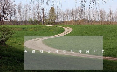 有逾期还可以抵押房产么 有逾期还可以抵押房产么