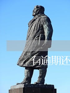 有逾期还可以担保贷款吗 有逾期还可以担保贷款吗