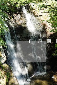 有逾期还可以按揭车吗 有逾期还可以按揭车吗