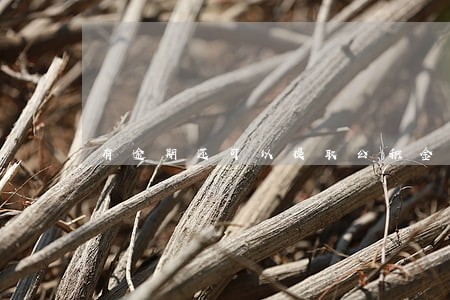 有逾期还可以提取公积金吗 有逾期还可以提取公积金吗