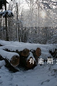 有逾期还可以申请哪些