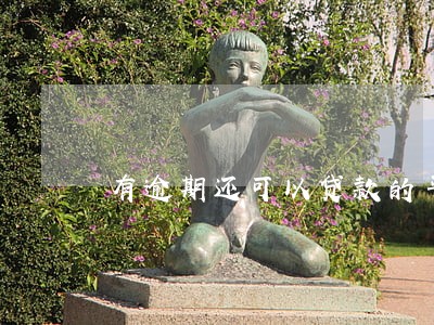 有逾期还可以贷款的平台 有逾期还可以贷款的平台