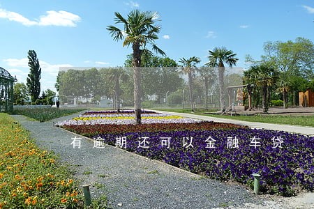 有逾期还可以金融车贷 有逾期还可以金融车贷