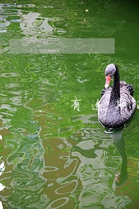 有逾期还呗可以借钱吗 有逾期还呗可以借钱吗