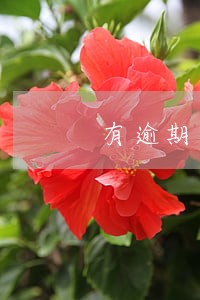 有逾期还完了后什么时候恢复正常 有逾期还完了后什么时候恢复正常