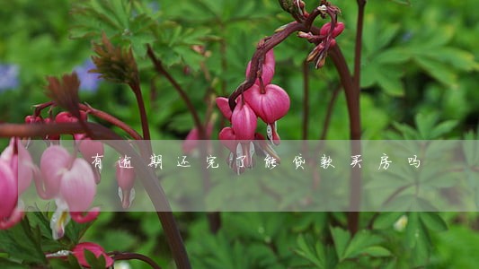 有逾期还完了能贷款买房吗 有逾期还完了能贷款买房吗