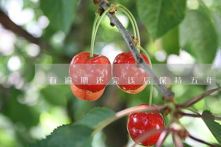 有逾期还完钱后保持五年记录 有逾期还完钱后保持五年记录