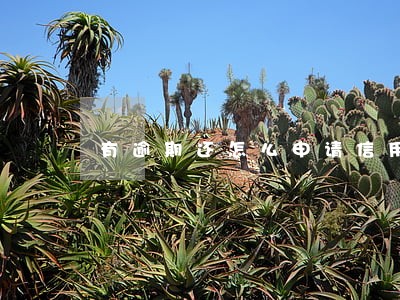 有逾期还怎么申请信用卡 有逾期还怎么申请信用卡