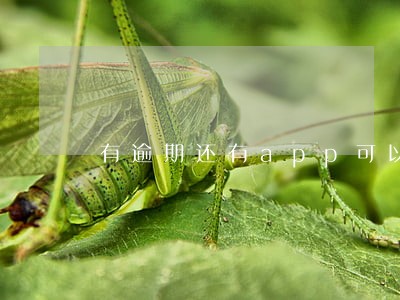 有逾期还有app可以贷款吗 有逾期还有app可以贷款吗