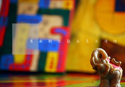 有逾期还款后怎么消除 有逾期还款后怎么消除