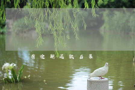 有逾期还款后果 有逾期还款后果