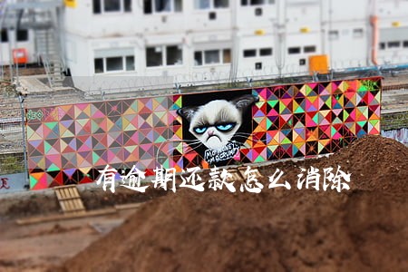 有逾期还款怎么消除 有逾期还款怎么消除