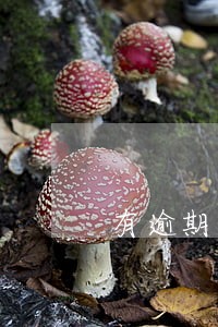 有逾期还款显示征信