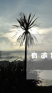 有逾期还款算违约吗