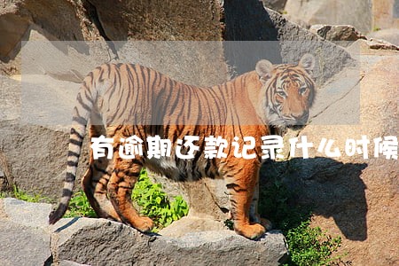 有逾期还款记录什么时候消除 有逾期还款记录什么时候消除