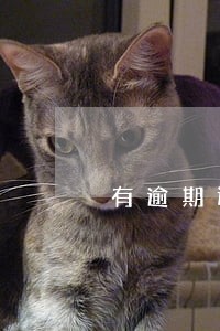 有逾期还款记录如何贷款 有逾期还款记录如何贷款