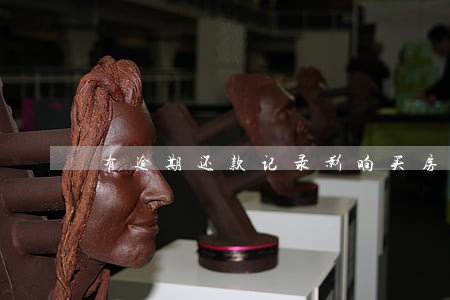 有逾期还款记录影响买房贷款 有逾期还款记录影响买房贷款