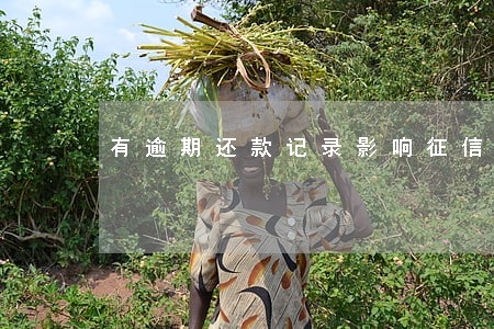 有逾期还款记录影响征信 有逾期还款记录影响征信