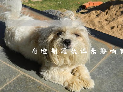 有逾期还款记录影响贷款么 有逾期还款记录影响贷款么