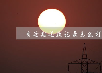 有逾期还款记录怎么打