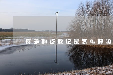 有逾期还款记录怎么解决
