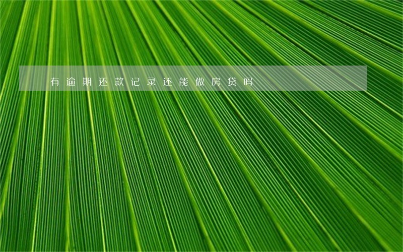 有逾期还款记录还能做房贷吗 有逾期还款记录还能做房贷吗