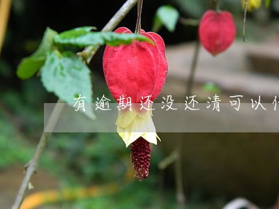 有逾期还没还清可以借到钱吗
