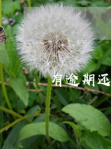 有逾期还清之后 有逾期还清之后