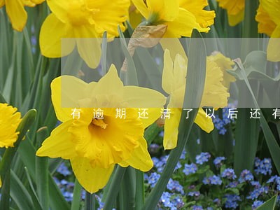 有逾期还清了以后还有影响吗