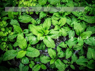 有逾期还清了怎样看征信报告 有逾期还清了怎样看征信报告