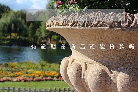 有逾期还清后还能贷款吗 有逾期还清后还能贷款吗