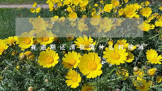 有逾期还清征信什么时候消 有逾期还清征信什么时候消