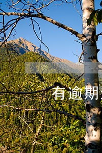 有逾期还清的网贷 有逾期还清的网贷