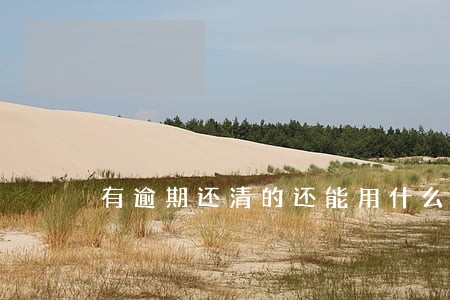 有逾期还清的还能用什么网贷 有逾期还清的还能用什么网贷