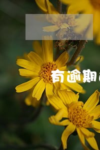 有逾期还能下款的网贷吗 有逾期还能下款的网贷吗