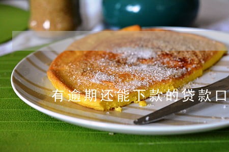 有逾期还能下款的贷款口子 有逾期还能下款的贷款口子