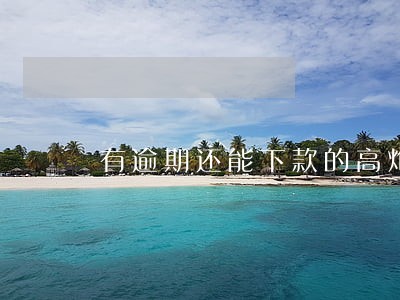有逾期还能下款的高炮 有逾期还能下款的高炮
