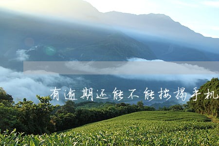 有逾期还能不能按揭手机呢 有逾期还能不能按揭手机呢