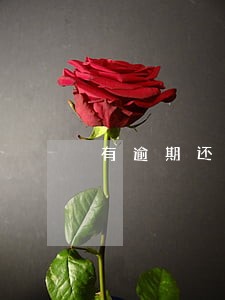 有逾期还能从别的平台借款吗 有逾期还能从别的平台借款吗