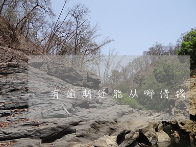 有逾期还能从哪借钱