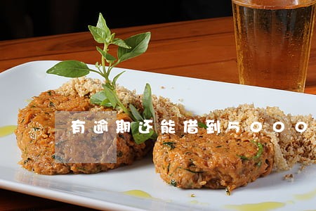 有逾期还能借到5000吗 有逾期还能借到5000吗