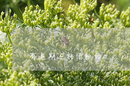 有逾期还能借款的app 有逾期还能借款的app
