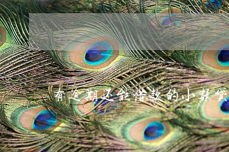 有逾期还能借款的小额贷款