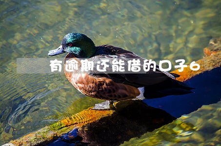有逾期还能借的口子6 有逾期还能借的口子6