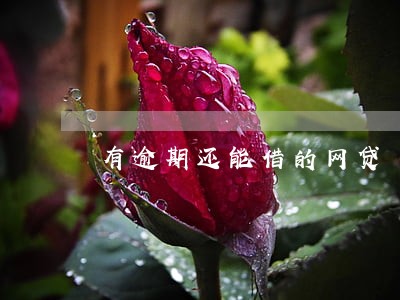 有逾期还能借的网贷 有逾期还能借的网贷