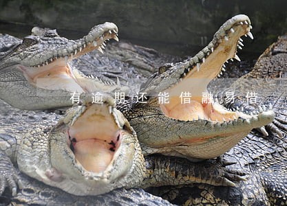 有逾期还能借融易借 有逾期还能借融易借