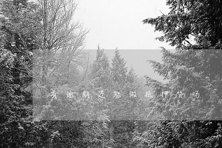 有逾期还能做抵押贷吗 有逾期还能做抵押贷吗