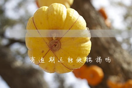 有逾期还能做按揭吗 有逾期还能做按揭吗