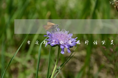 有逾期还能做银行信贷员么 有逾期还能做银行信贷员么